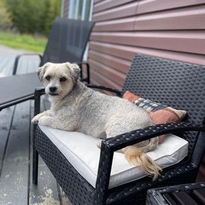 Meet your Posher, Wanda